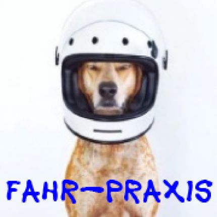 Logotipo de Fahrschule Fahr-Praxis
