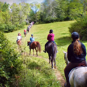 Bild von Marmon Valley Farm