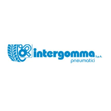 Logo da Intergomma Spa