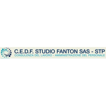 Logo da Cedf Studio Fanton
