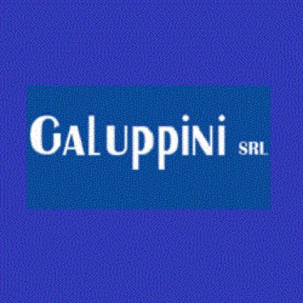 Logo od Ferramenta Galuppini