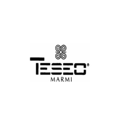 Λογότυπο από Teseo Marmi di Teseo Alfredo