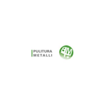Logo from B.M.T. Pulitura Metalli