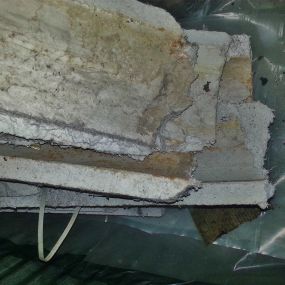 Asbestos Remediation Services