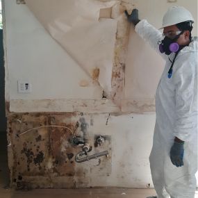 Black Mold Damage