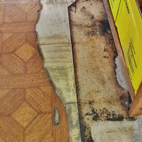 Asbestos Floor Tile Removal