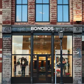 Bild von Bonobos