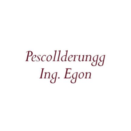 Logótipo de Pescollderungg Ing. Egon