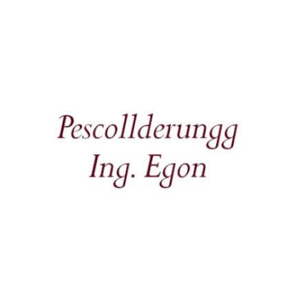 Logotyp från Pescollderungg Ing. Egon