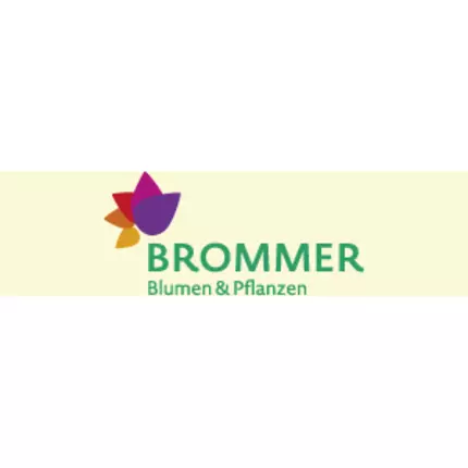 Logo from Blumen Brommer KG - Fleurop Service