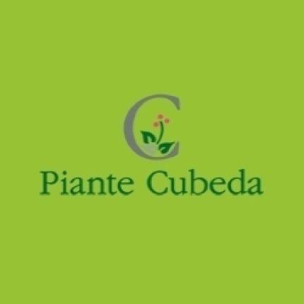 Logo da Vivaio Piante Cubeda