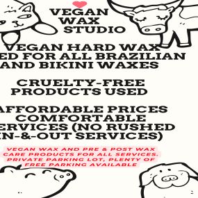 Vegan salon, vegan brazilian wax, cruelty-free products, organic facials, brazilian wax, holistic skincare, facial salons, eyebrow shaping