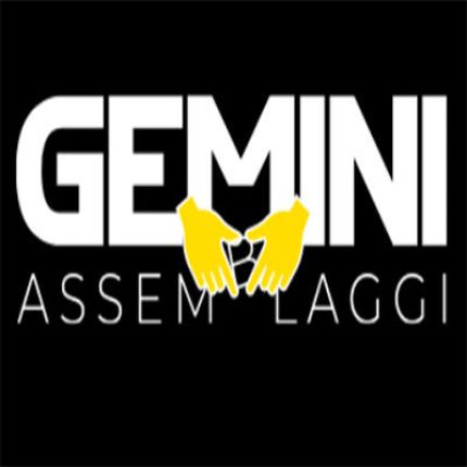 Logo van Gemini