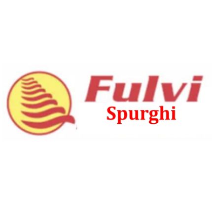 Logotyp från Fulvi Spurghi S.r.l