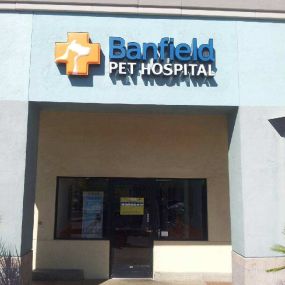 Banfield Pet Hospital - Henderson