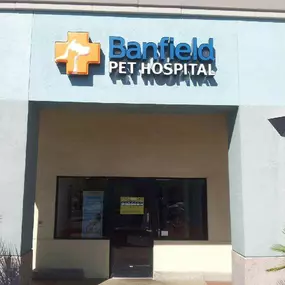 Banfield Pet Hospital - Henderson