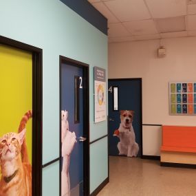 Bild von Banfield Pet Hospital