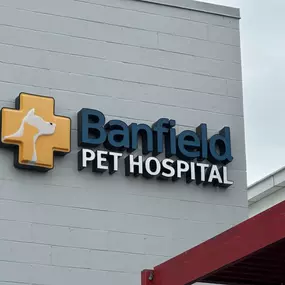 Banfield Pet Hospital® - White Marsh