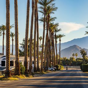 Bild von Thousand Trails Palm Springs