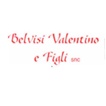 Logo van Belvisi Valentino e Figli