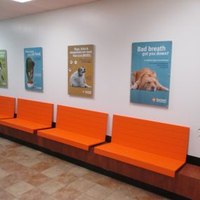 Bild von Banfield Pet Hospital