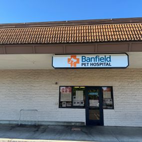 Banfield Pet Hospital® - Campbell