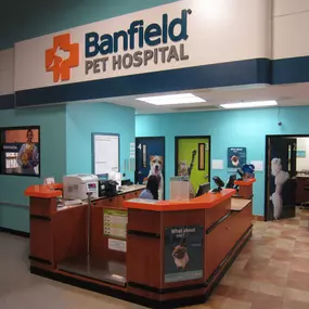 Bild von Banfield Pet Hospital