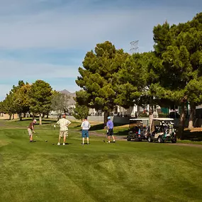 Bild von ViewPoint RV & Golf Resort