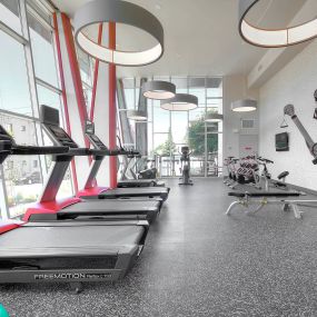 Up-to-date Fitness Studio with Cardio and Weight Training Equipment