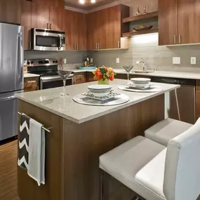 Stainless Steel Appliances