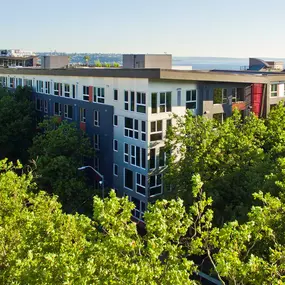 Aerial property view