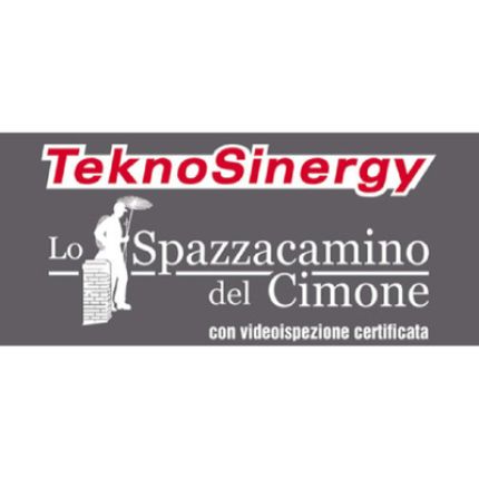 Logo de Tekno Sinergy