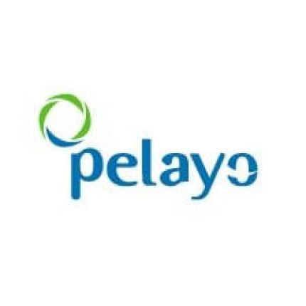 Logo da Seguros Pelayo