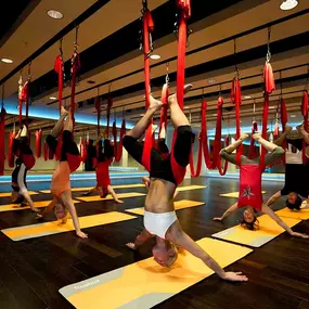 Bild von Virgin Active