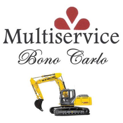 Logo from Multiservice Bono Carlo