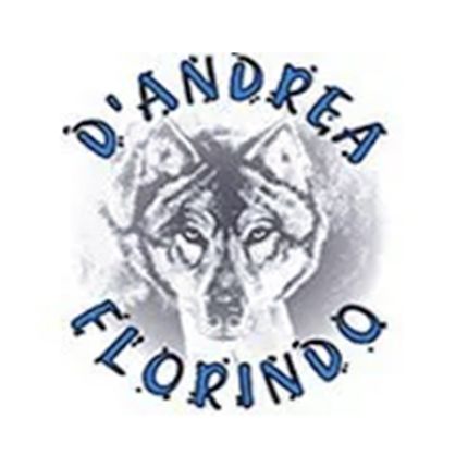 Logo von D'Andrea Florindo Srl