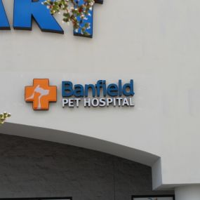 Banfield Pet Hospital - South Orlando