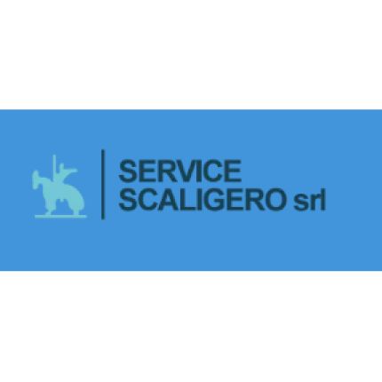 Logotyp från Service Scaligero