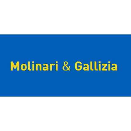 Logo van Molinari e Gallizia