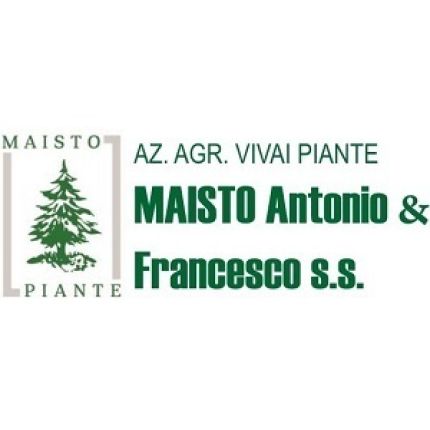 Logotipo de Vivai Maisto Antonio e Francesco