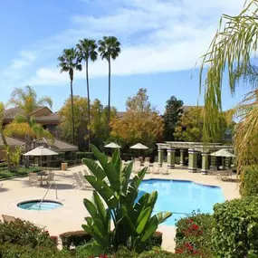 Swimming Pool with Hot Tub