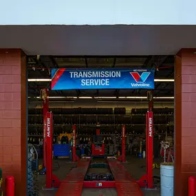 Bild von Tire Discounters