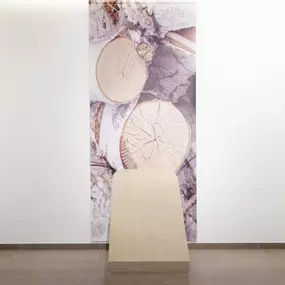 Vanhove uitvaartzorg