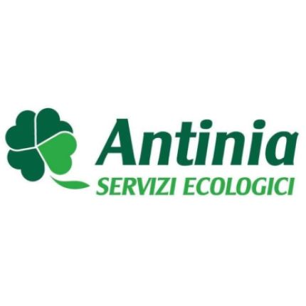 Logotyp från Antinia