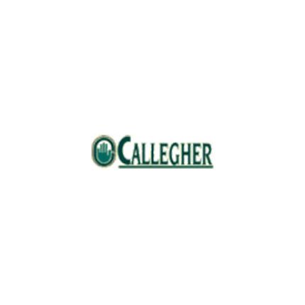 Logo de Callegher Sanificazione Ambientale