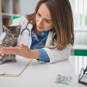 Bild von Banfield Pet Hospital