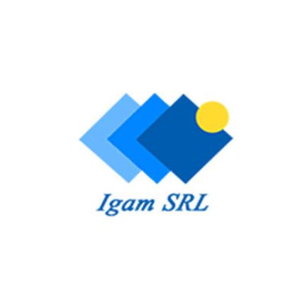 Logo da Igam
