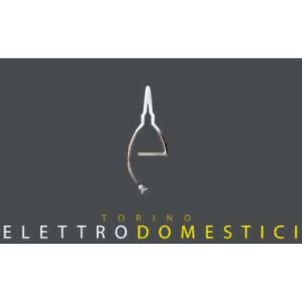 Logotyp från Torino Elettrodomestici