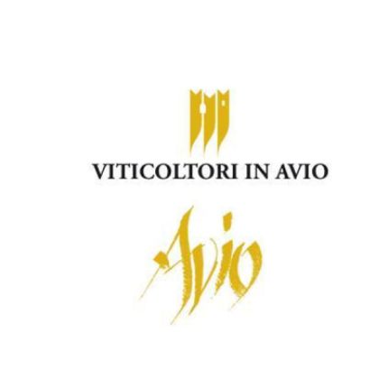 Logo from Cantina Sociale di Avio