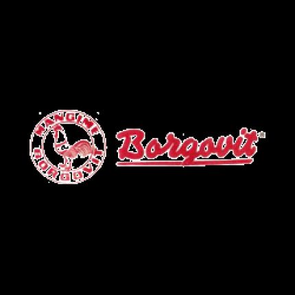 Logo de Borgovit